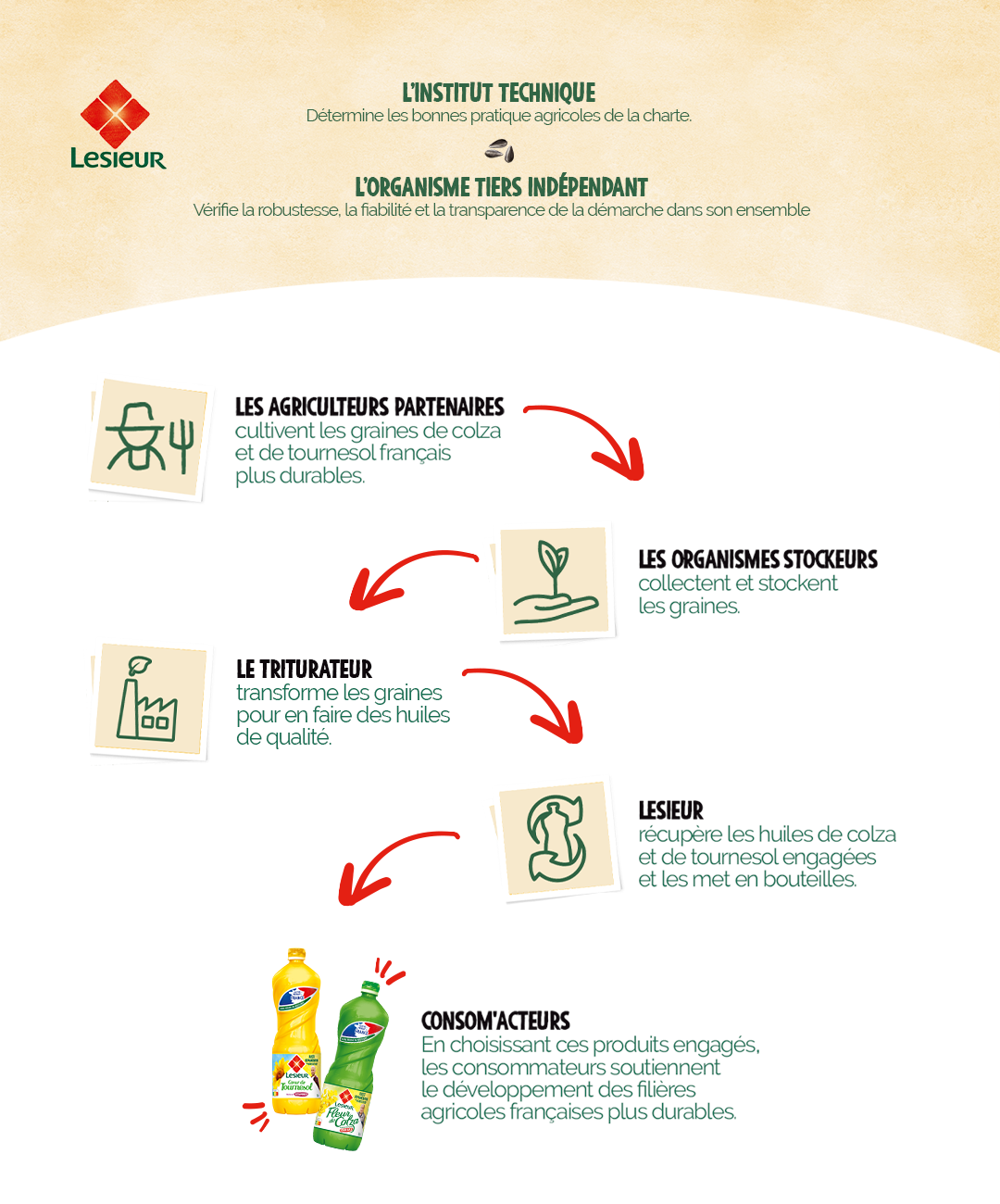 Infographie 