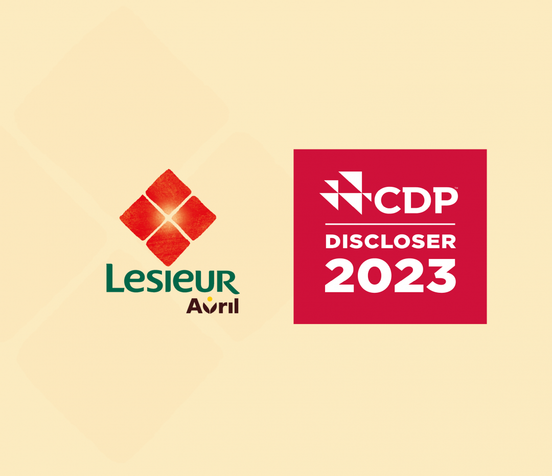 CDP Discloser 2023